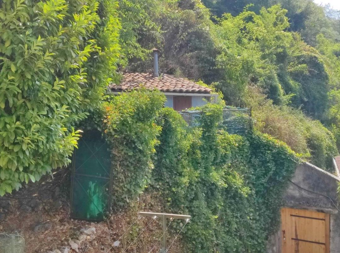 Hebergements Entiers Two Homes T1 Bas Or T1 Haut -Aux Terrasses Du Pech Фоа Екстериор снимка